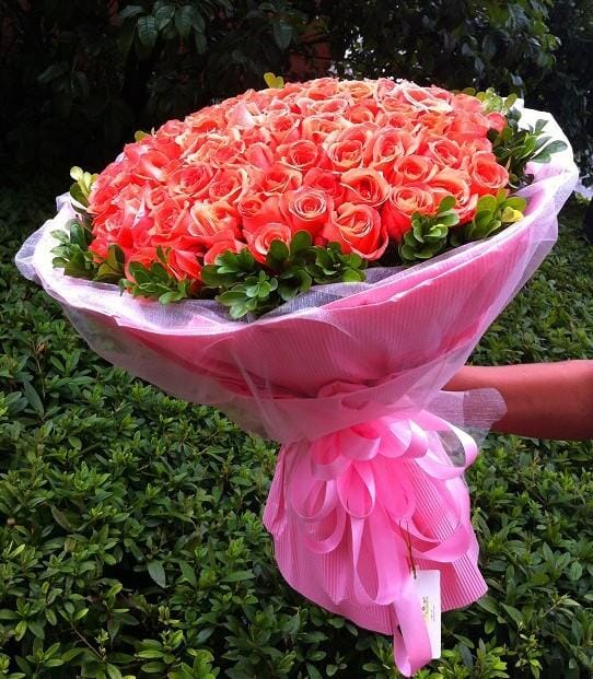 不同颜色的玫瑰代表什么含义呢 玫瑰花的寓意是什么 一朵朵鲜花