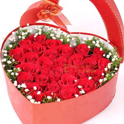 怀孕的人送什么花最好 2017061637493501.jpg